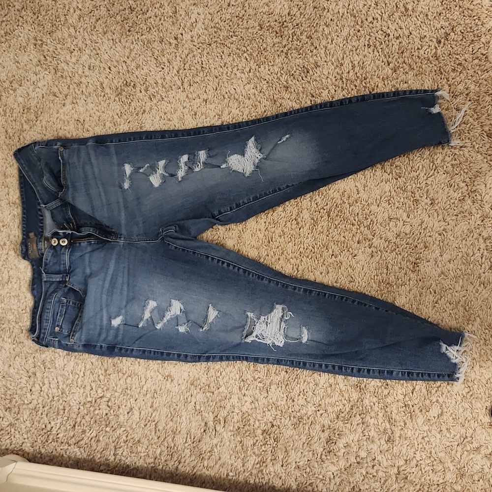 Torrid jegging